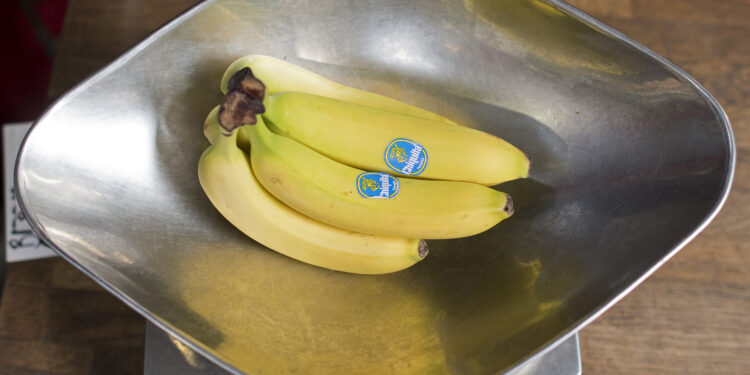 Banane brandizzate Chiquita. Credit:   Justin Tallis / AFP